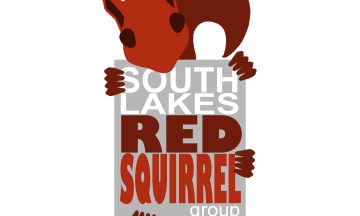 Cumbrian Red – Saving Our Red Squirrel